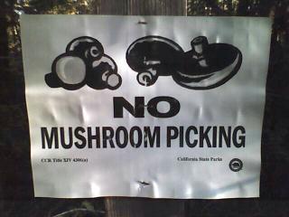 no mushroom picking