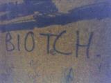 biotch